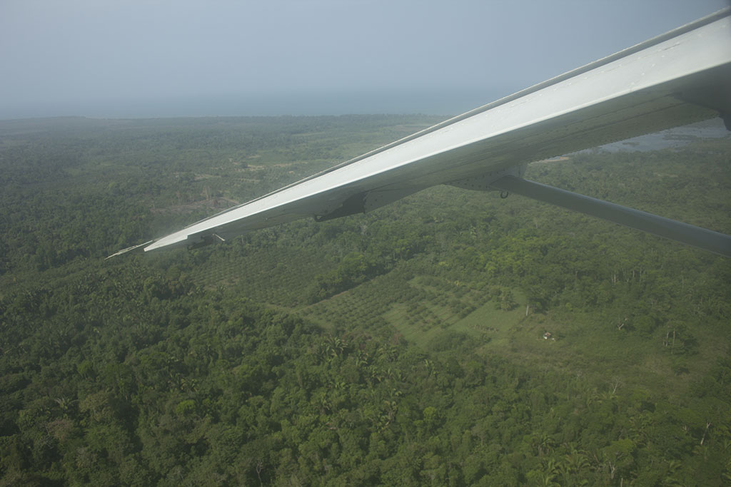 flying over the jungles of Belize