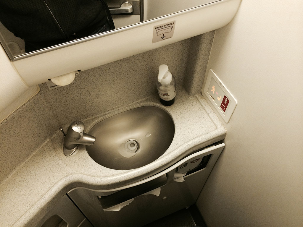 rear lavatory sink on the 737-700
