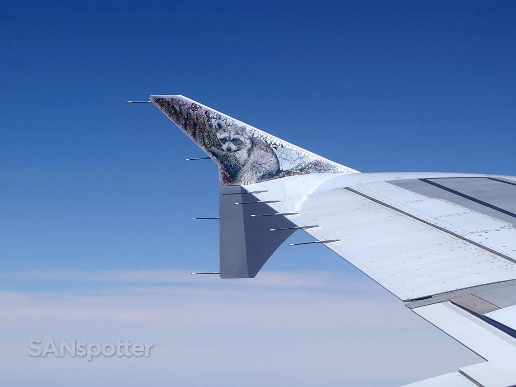 frontier airlines Rudy the raccoon N923FR winglet