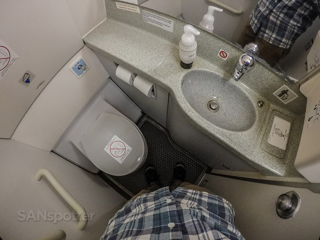 American Airlines A319 lavatory