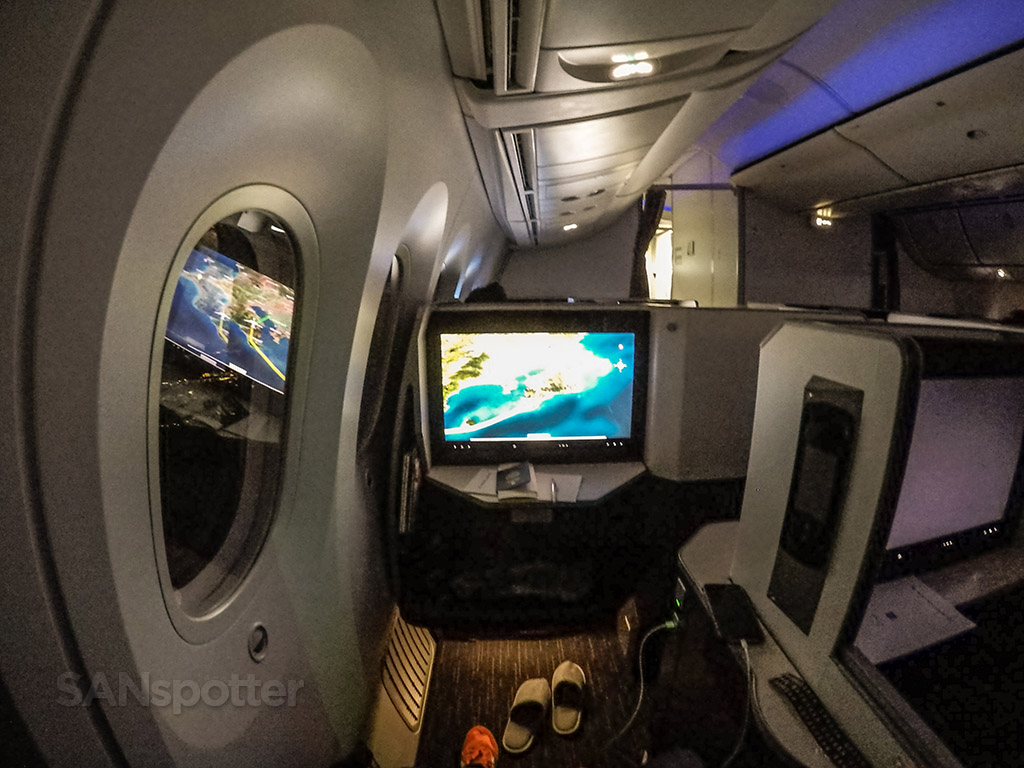 Japan Airlines 787 Sky suite pic