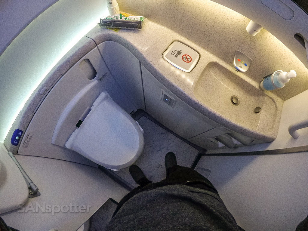 Japan Airlines 787–8 business class bathroom