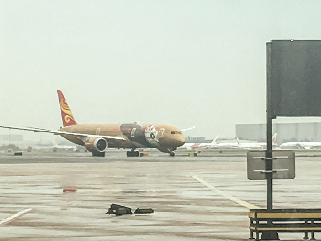 Hainan Airlines 787 panda livery