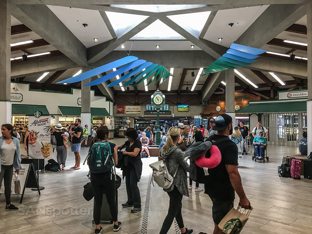 Maui airport restaurants and shops