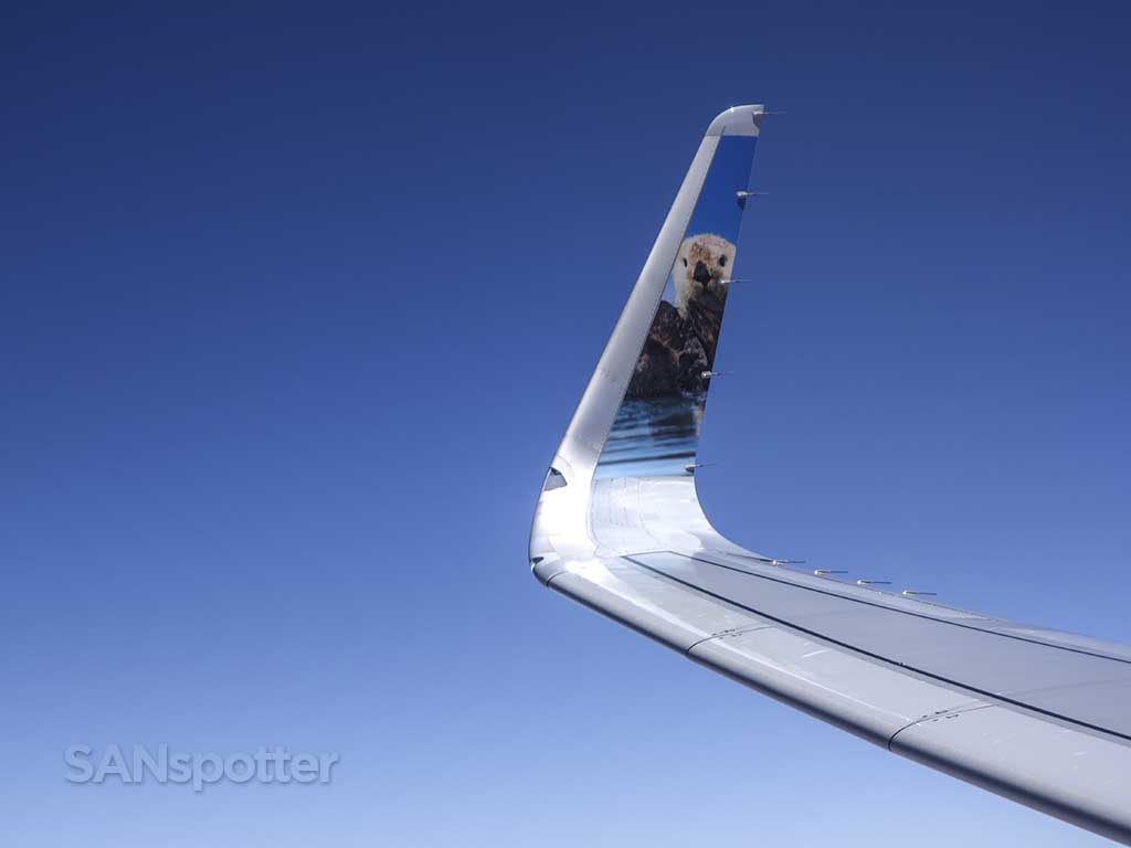 Frontier airlines animal winglet