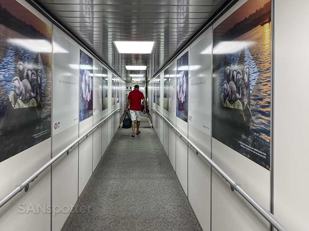 Delta jet bridge posters JFK