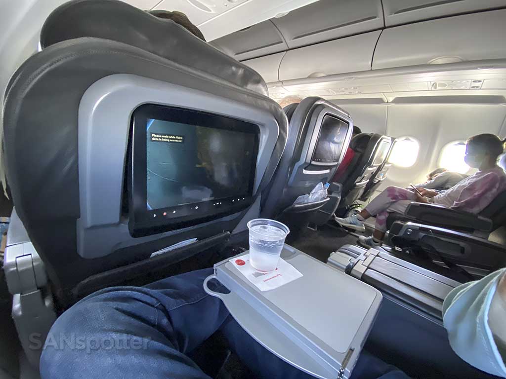 Domestic first class seats American Airlines A321