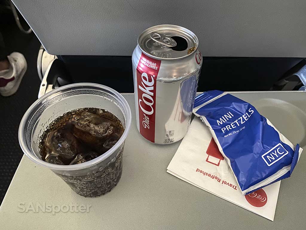 American Airlines domestic premium economy snacks