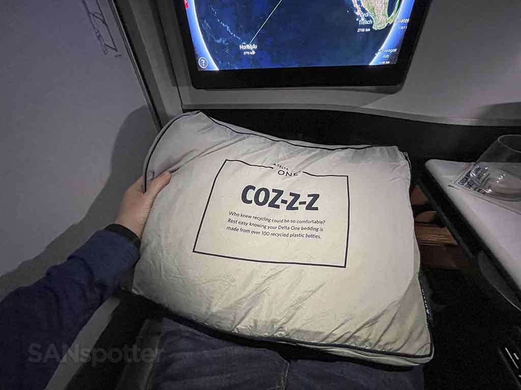 Delta one blankets and pillows 