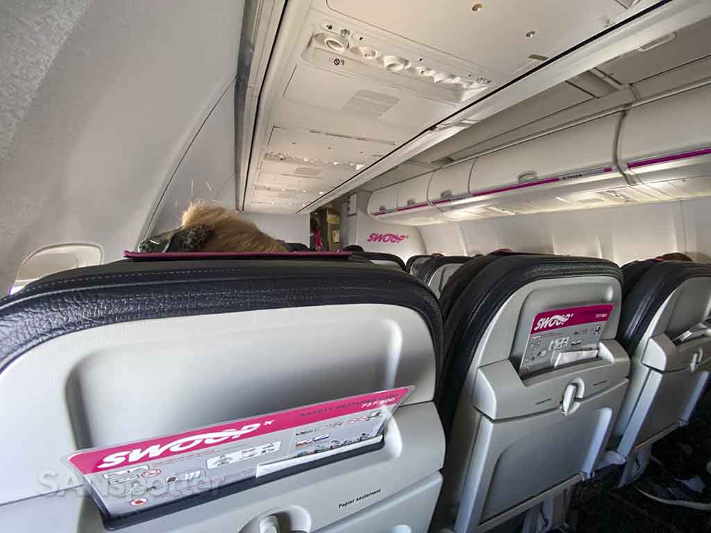 Swoop 737-800 seat comfort 