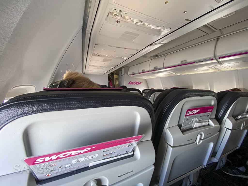 Swoop 737-800 seat comfort