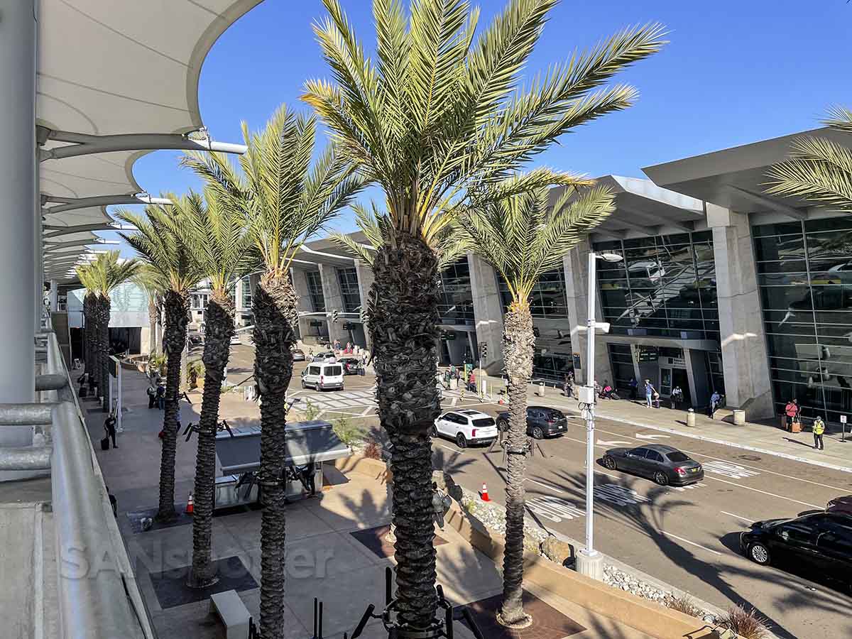 Palm trees at the San Diego airport