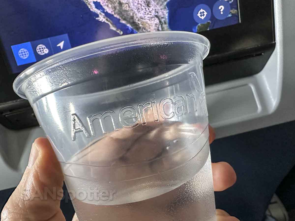 American Airlines cups in Delta Air Lines economy class
