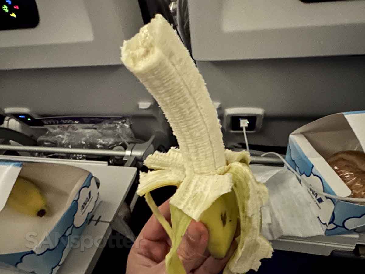 ANA economy class banana