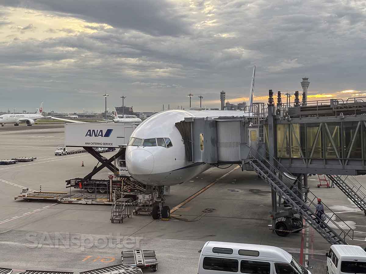 ANA 777-300ER parked at gate Haneda airport