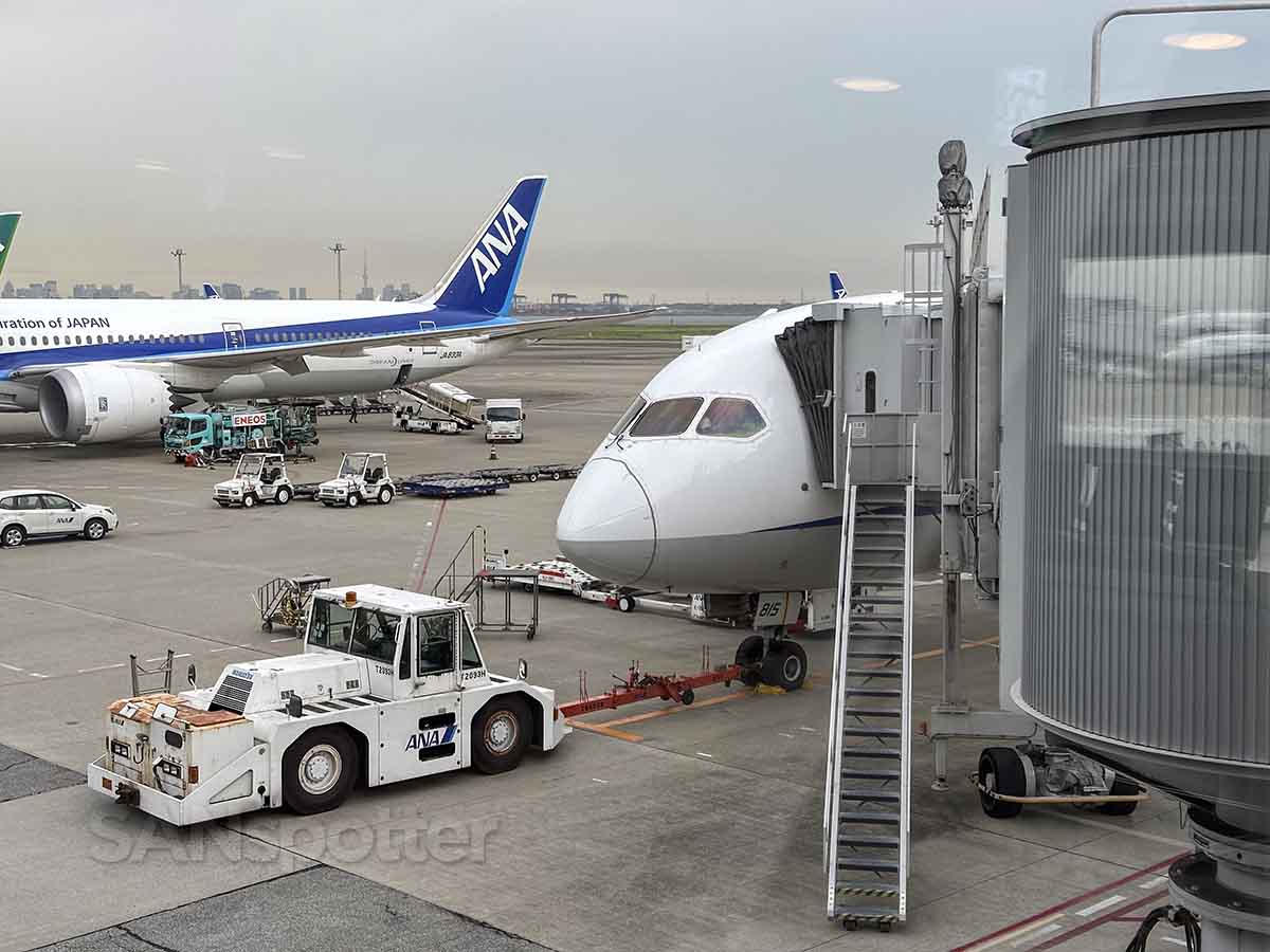 ANA 787-8 parked at gate 65 Haneda airport