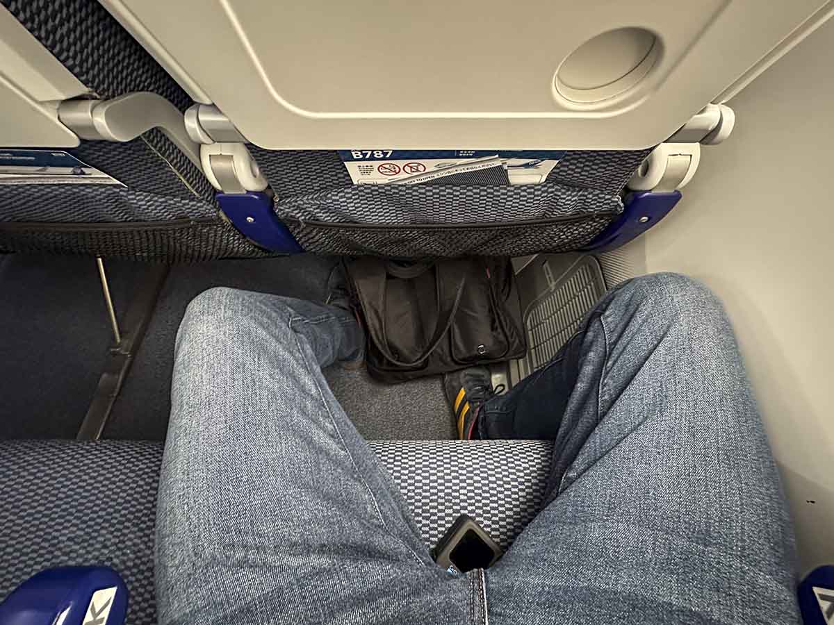 ANA 787-8 economy class leg room