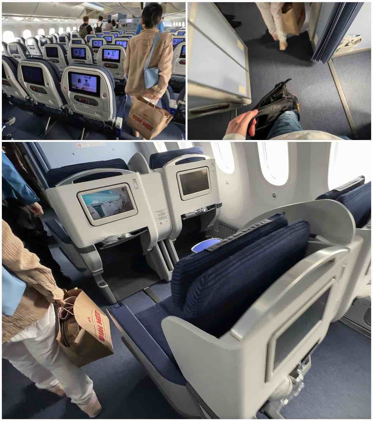 ANA 787-8 economy and business class cabins