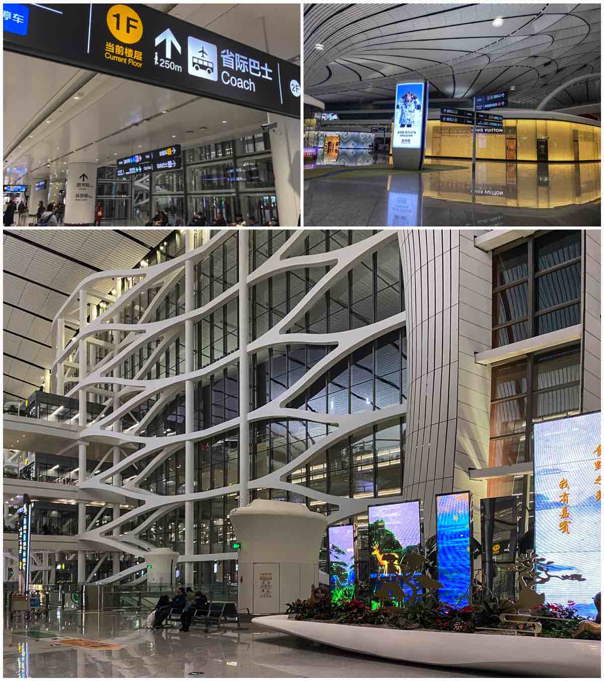Daxing airport interior pics