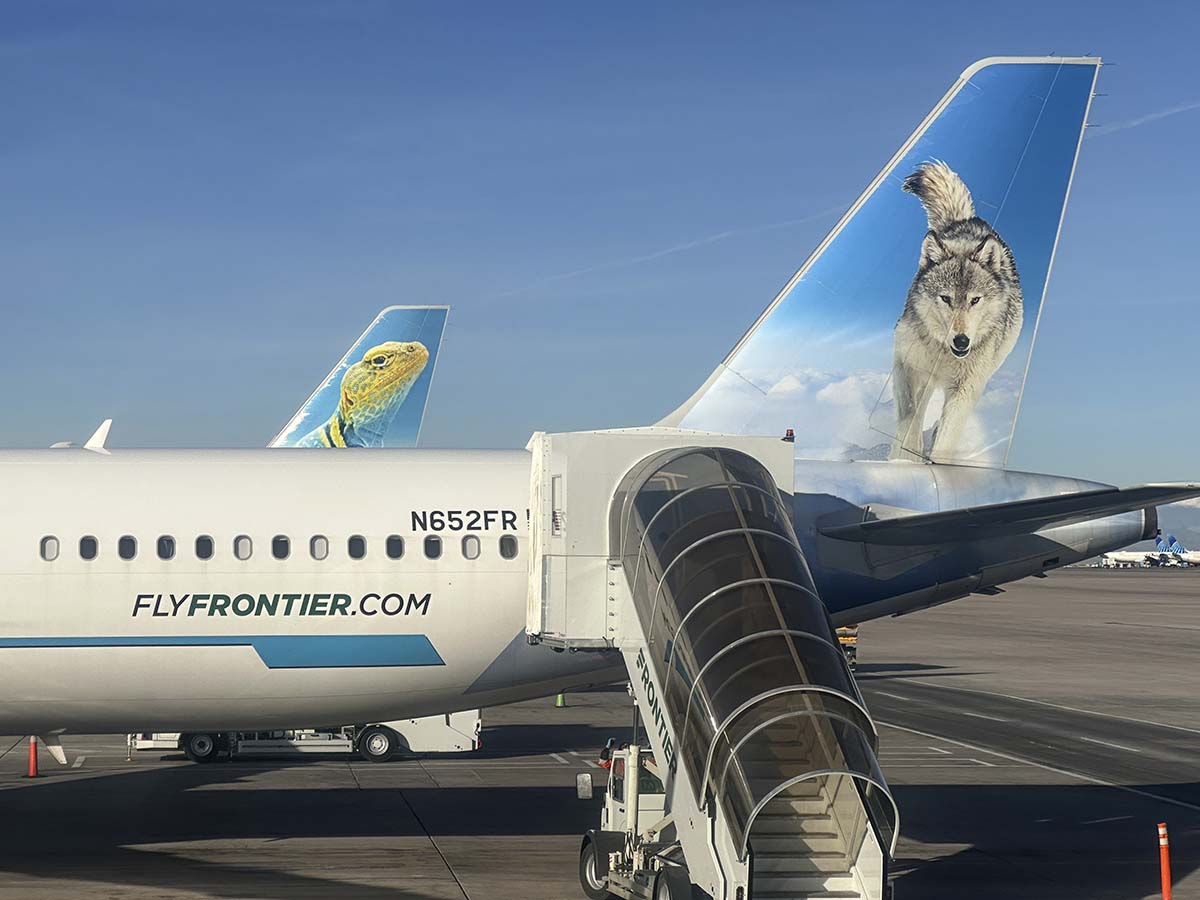 Frontier Airlines A321neo Lobo the gray wolf parked at the gate at DEN