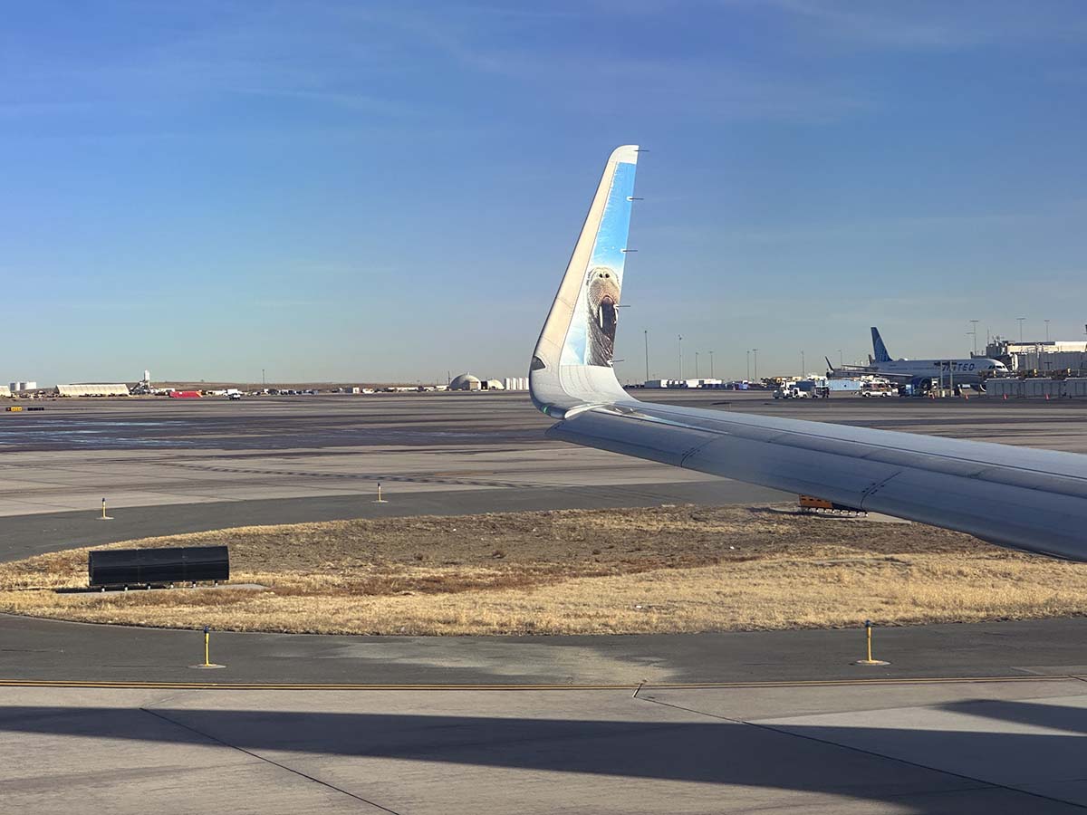 Seymour the Walrus on the winglet Frontier Airlines A321