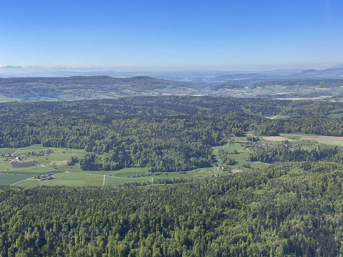 Looking out at the lush green scenery from an airplane window under descent into Zürich
