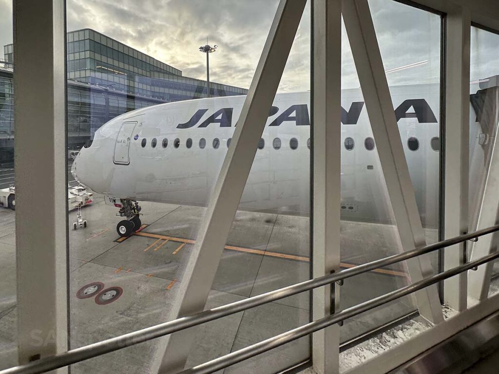 Getting a close-up look at the nose of the JAL A350-1000 from the jet bridge at gate 114 terminal 3 Tokyo Haneda airport