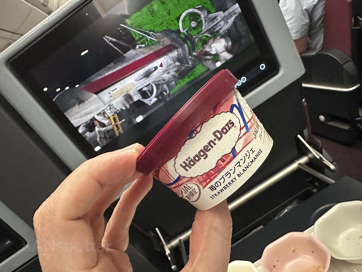 Häagen-Dazs ice cream for dessert in JAL A350-1000 Premium Economy