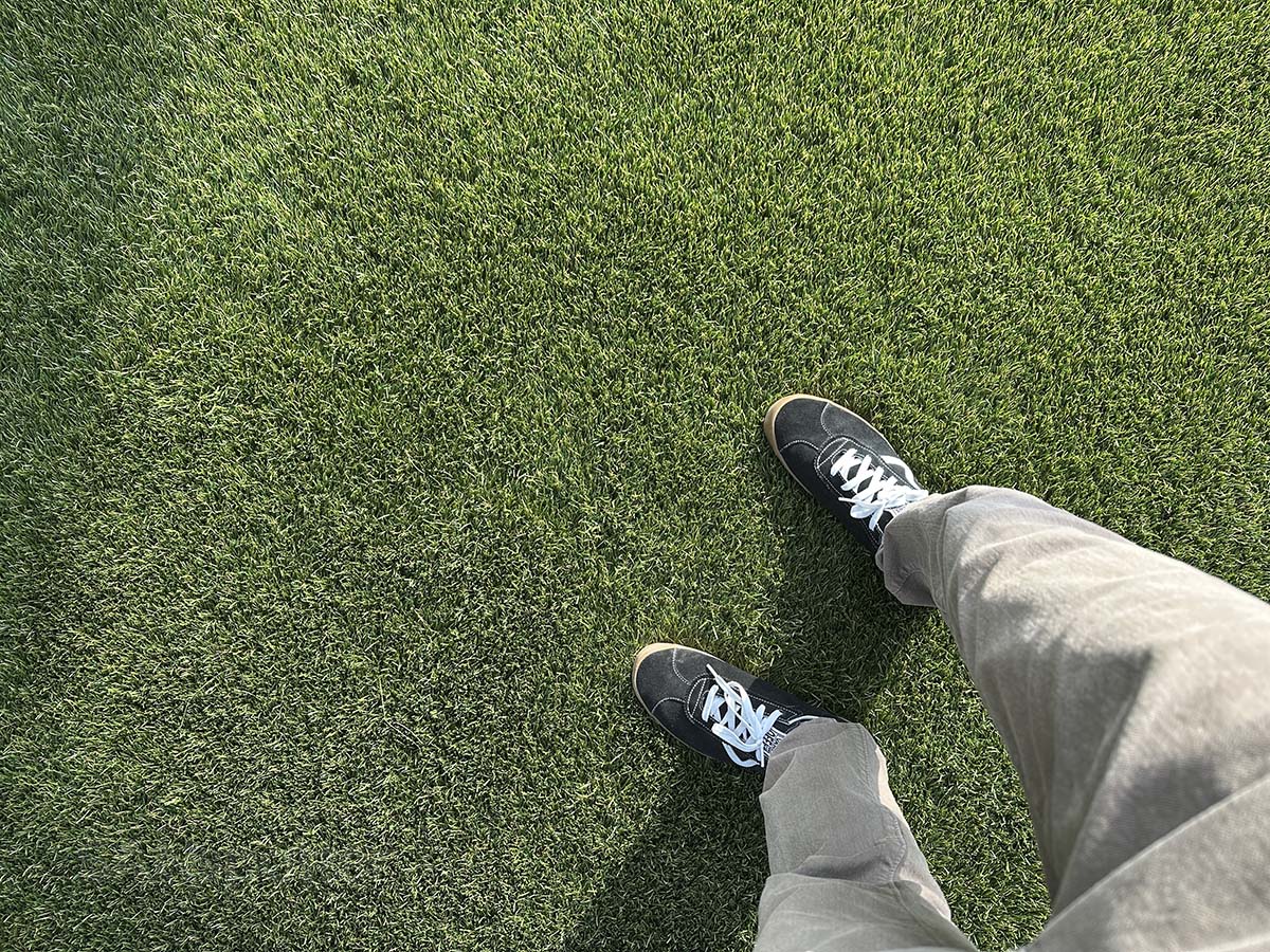 Standing in the grass covered plaza at the Denver International Airport next to the Westin hotel